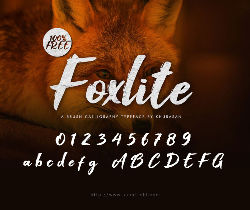 Foxlite дӢ
